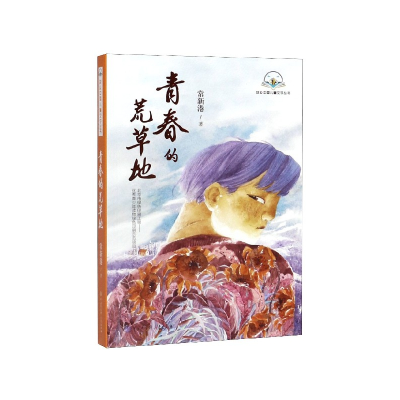 音像青春的荒草地/故乡中国儿童文学丛书常新港