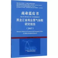 音像商业蓝皮书曲振涛 主编