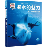 音像潜水的魅力(德)弗洛里安·布鲁尔,(德)乌里·昆茨