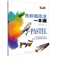 音像色粉画技巧一本通/色粉画技法教程系列西班牙派拉蒙团队