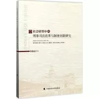 音像社会转型中的刑事司法改革与制度创新研究张能全 著