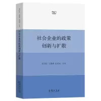 音像社会企业的政策创新与扩散邓国胜 关珊珊 成鸿庚 等著