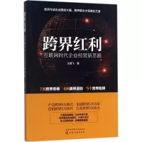 音像跨界红利王靖飞 著
