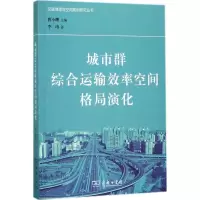 音像城市群综合运输效率空间格局演化李涛 著