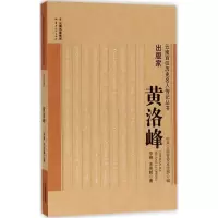 音像出版家辛锋,王思懿 著