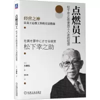 音像点燃员工 松下幸之使员工入迷的经营(日)大森弘