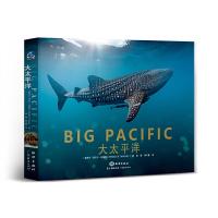 音像大太平洋(精)[新西兰]丽贝卡?坦斯利REBECCAT