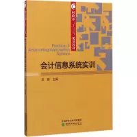 音像会计信息系统实训刘薇 主编