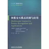 音像多模交互模式识别与应用叶亮,马婷 译
