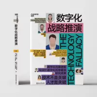 音像数字化战略推演(美)杰拉德·C.凯恩 等