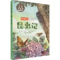 音像昆虫记 注音彩绘版(法)法布尔