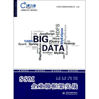 音像SSM企业级框架实战肖睿,丁慧洁,张宁彬 主编