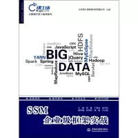 音像SSM企业级框架实战肖睿,丁慧洁,张宁彬 主编
