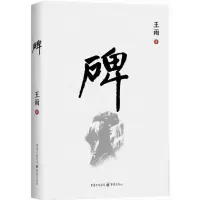 音像碑王雨 著