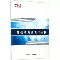 音像超机动飞机飞行控制谢蓉 编著