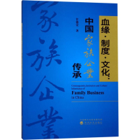 音像血缘·制度·文化甘德安 著