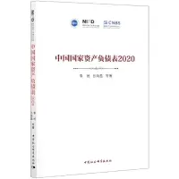 音像中资负债表(2020)李扬等