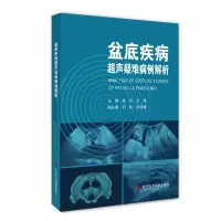 音像盆底疾病超声疑难病例解析耿京,应涛 编