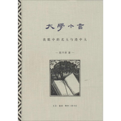 音像大学小言陈平原