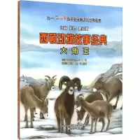 音像大角王:注音彩色美绘版(加)西顿(Seton,E.T.) 著;赵亚丹 编译