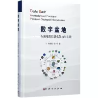 音像数字盆地孙旭东,毛小平 著