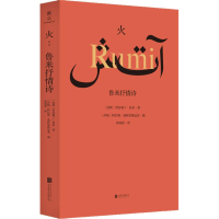 音像火 鲁米抒情诗(波斯)贾拉勒丁·鲁米