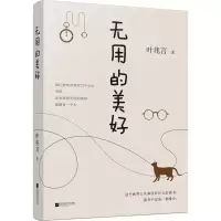 音像无用的美好叶兆言 著