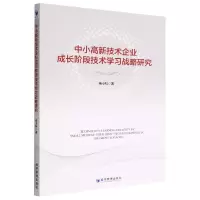 音像中小高新技术企业成长阶段技术学习战略研究杨小科著