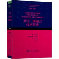 音像英汉三网融合技术辞典李家滨