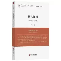 音像视远惟明丁宁 著