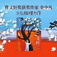音像喜鹊金少凡