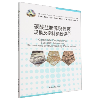 音像碳酸盐岩沉积体系规模及控制参数评价