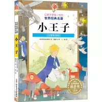 音像小王子(注音美绘版)(法)圣埃克苏佩里