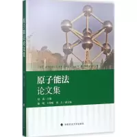 音像原子能文集赵威 主编