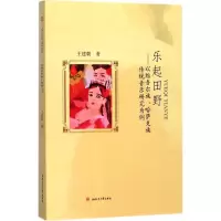 音像乐起田野王建朝 著