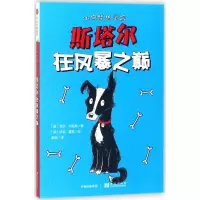 音像斯塔尔在风暴之巅[英]吉尔·刘易斯