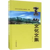 音像嵩山文化文集周昆叔 著