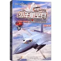 音像少年航空兵八路