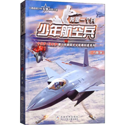 音像少年航空兵八路