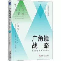 音像广角镜战略 成功创新者的洞见(美)罗恩·阿德纳(Ron Adner)