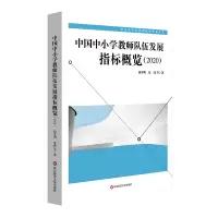 音像中国中小学教师队伍发展指标概览(2020)钱冬明 等