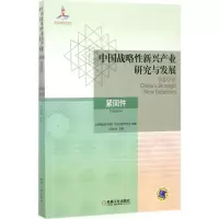 音像中国战略新兴产业研究与发展冯金尧 等 编著