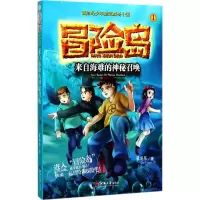 音像来自海难的神秘召唤翟英琴 著