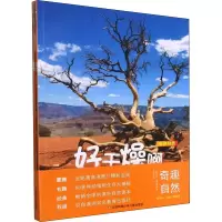 音像奇趣自然(全4册)(澳)丽兹·弗莱厄蒂