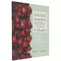 音像花样玫瑰茄赵艳红 等