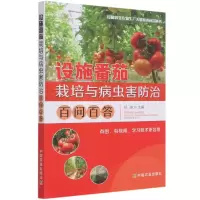 音像设施番茄栽培与病虫害防治百问百答不详