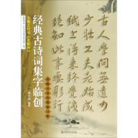 音像王羲之行书《圣教序》施志伟 编著