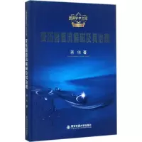 音像变压器直流偏磁及其治理蒋伟 著