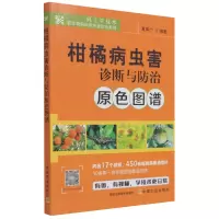 音像柑橘病虫害诊断与防治原色图谱夏声广 编