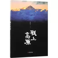 音像我上高原高文瑞 著